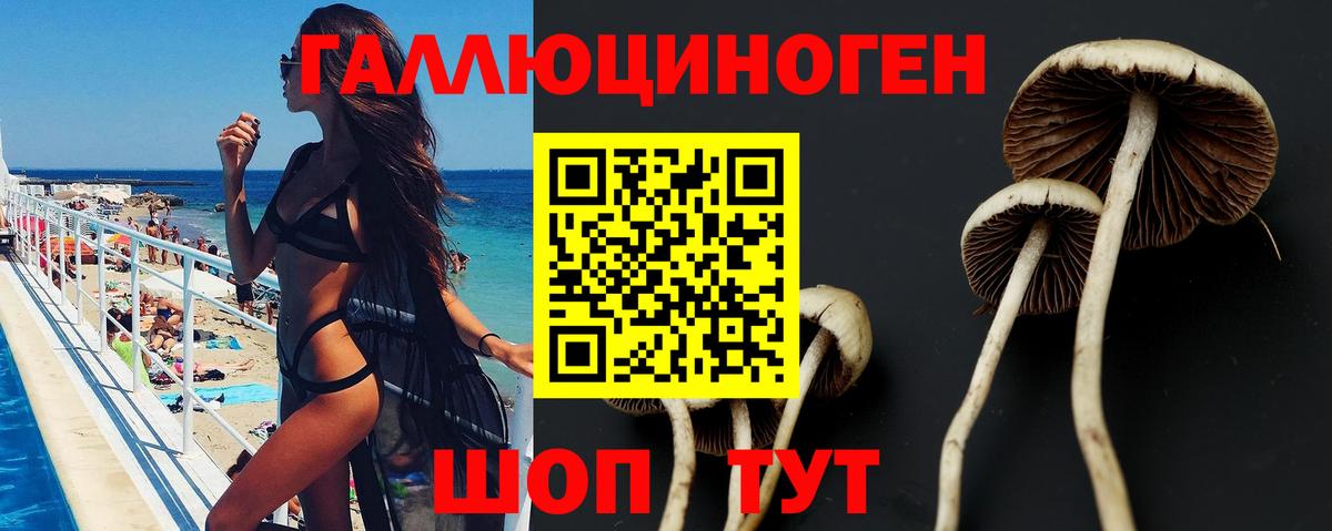 Псилоцибиновые грибы GOLDEN TEACHER  Галлюциногенные грибы мицелий  Вход с VPN  Оренбург 